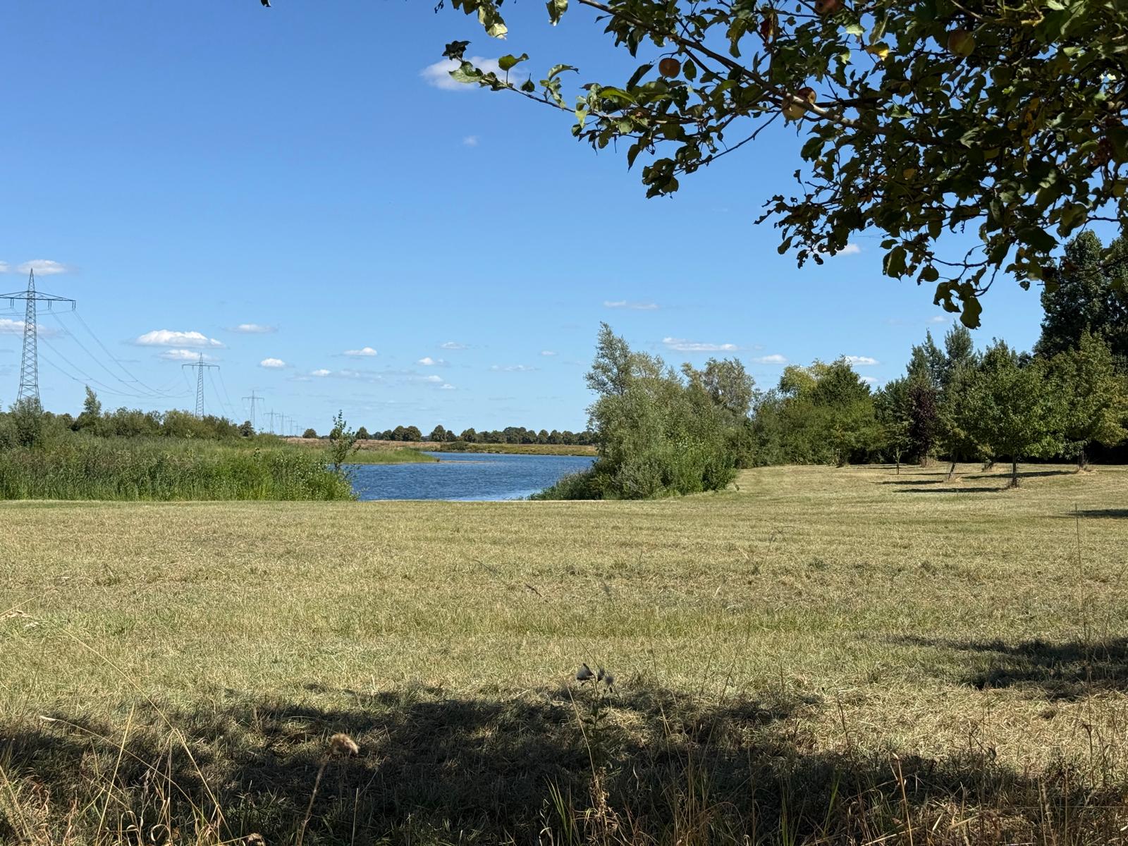 Blick aufs Gelände